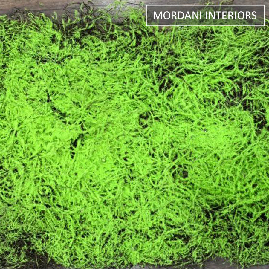 Green Moss MIGW-037-ID